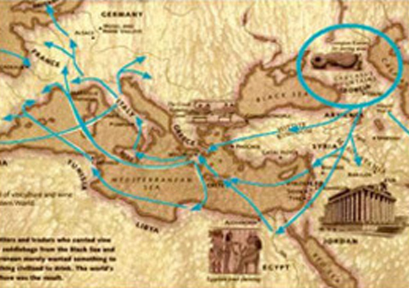 英文单词“wine”源自于“ywino” 英文单词“wine”源自于“ywino”