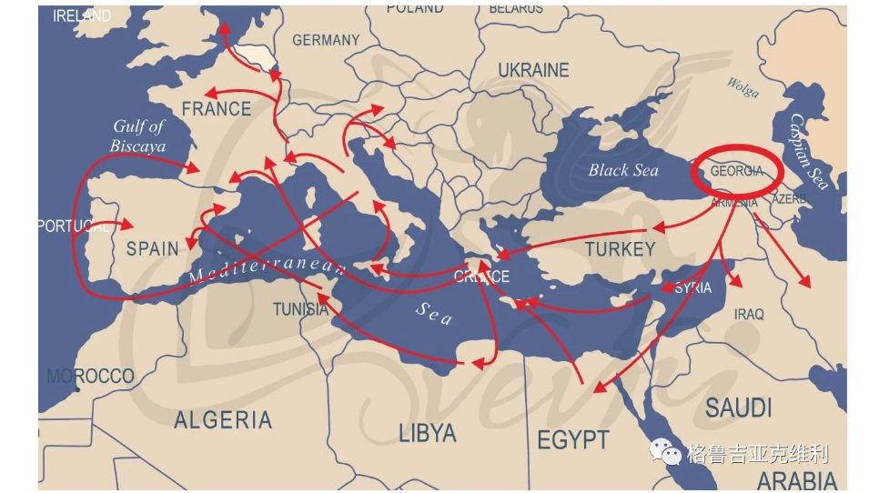 1722511095929147.png image.png