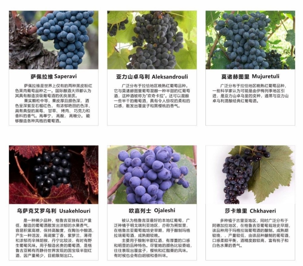 1722564271395241.jpg 1722511002479370.jpg