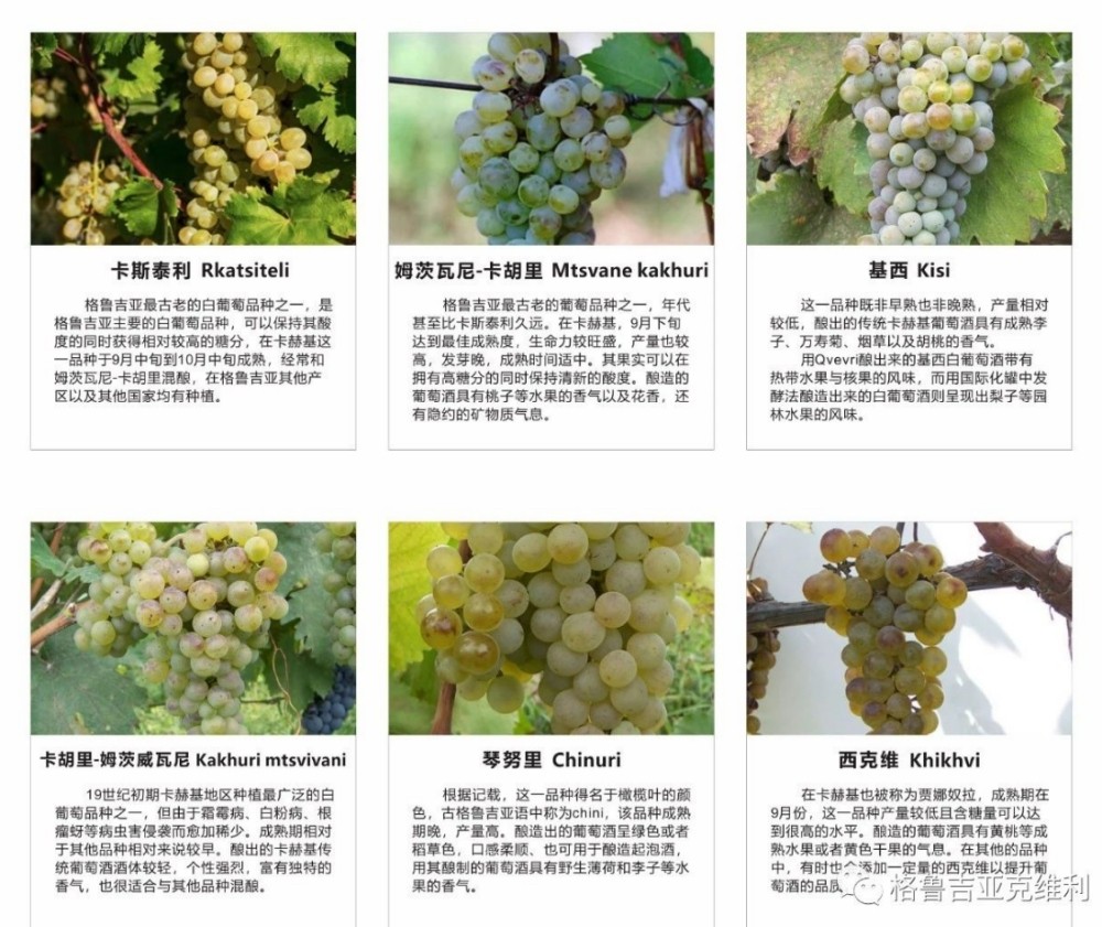 1722564282370236.jpg 1722511022637255.jpg